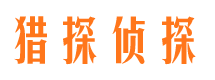 龙安寻人公司